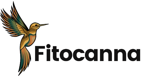 Fitocanna